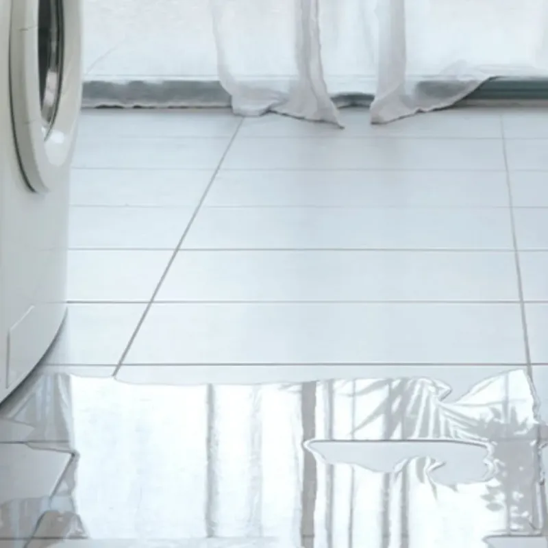 Appliance Leak Cleanup in Vernonia, OR